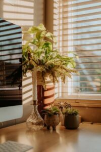 resized_29_api